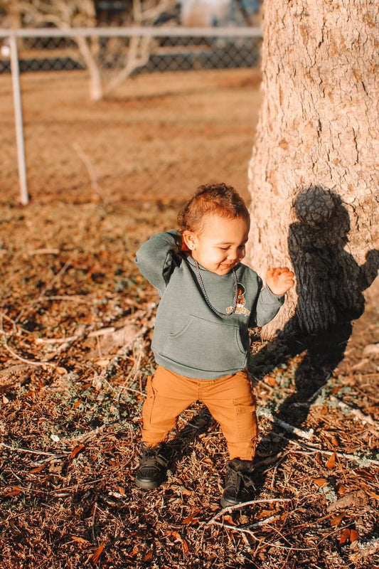 Toddler Hooded Sweatshirts